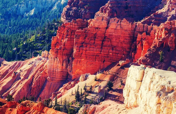 Bryce Canyon in Utah — Stock Photo, Image