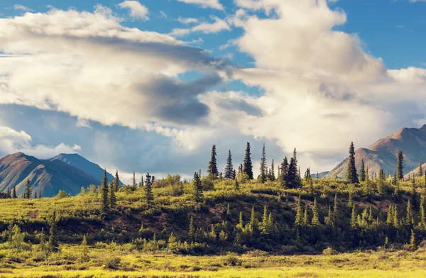 Yaz Alaska dağlarında — Stok fotoğraf