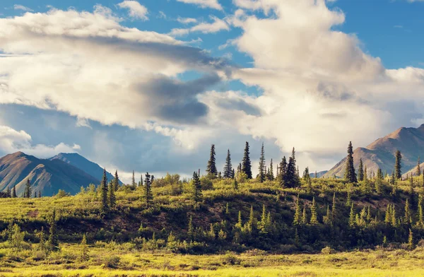 Montañas de Alaska en verano —  Fotos de Stock