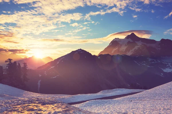 Mount Shuksan, Washington — Stok fotoğraf