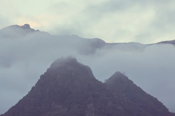 Красивые горы Мадейры — стоковое фото