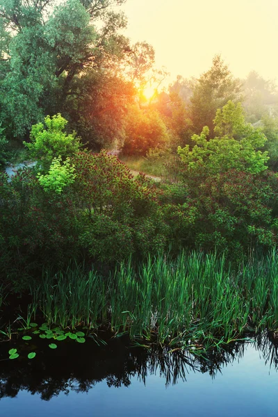 Mist op de rivier in de zomer — Stockfoto