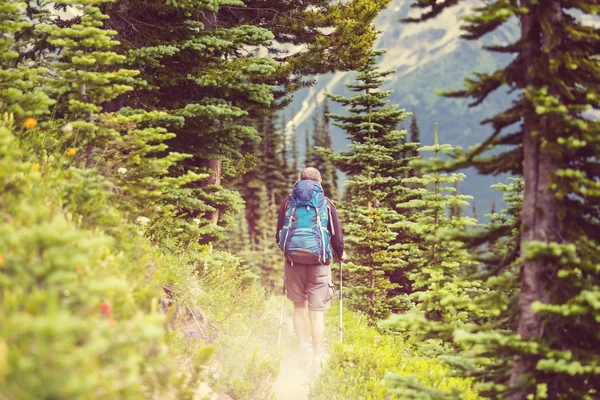 Backpacker w letnie góry — Zdjęcie stockowe