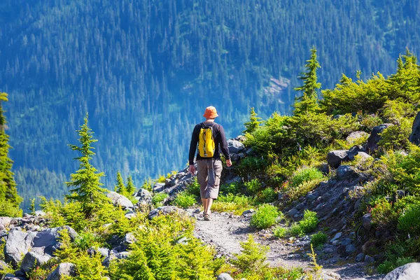 Hiking man in mountains Stock Photo