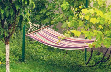 yeşil bahçesinde hamak