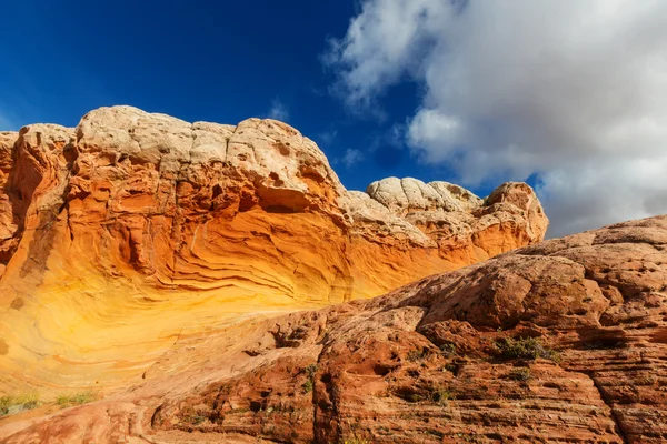 주홍 색 절벽의 코요테 Buttes — 스톡 사진