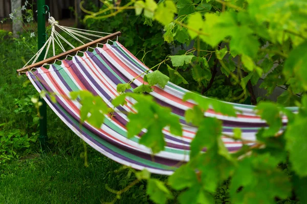 Hammock in green garden — Stock Photo, Image