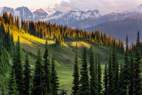 美丽的山景 — 图库照片