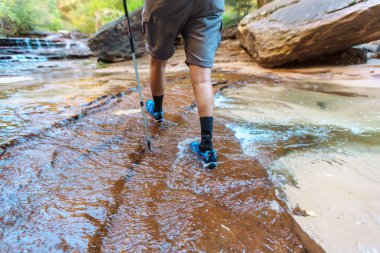 Zion national park için yapılan zammı
