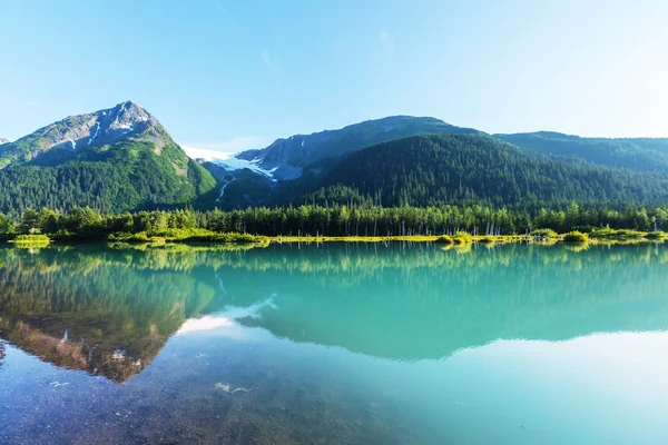 Alaska tundrasında dinginlik gölü — Stok fotoğraf