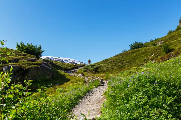 Muž turistika v horách — Stock fotografie