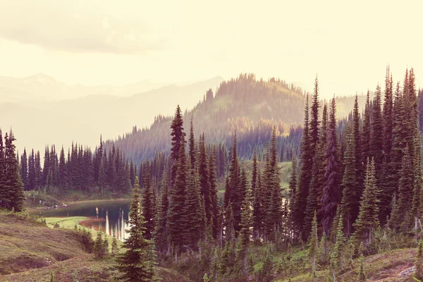 Berge im Sommer — Stockfoto