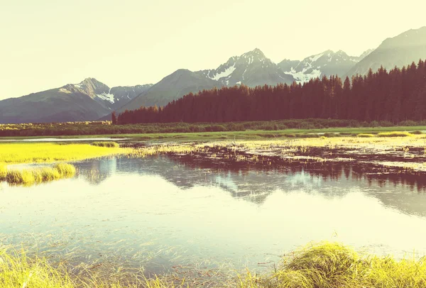 Malebné hory na Aljašce — Stock fotografie