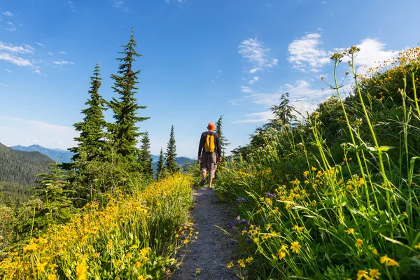 Hiking man in the mountains — Stock Photo, Image