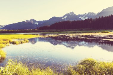 Alaska'da pitoresk dağlar