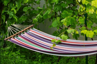 Hamak yeşil bir bahçe içinde