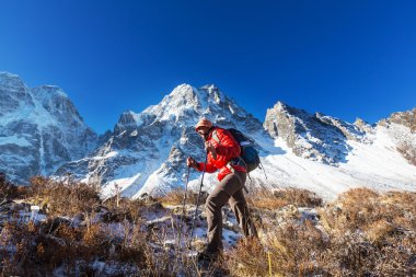 Uzun yürüyüşe çıkan kimse Himalaya dağ