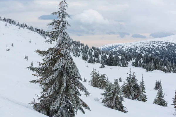 Montagnes hivernales pittoresques — Photo