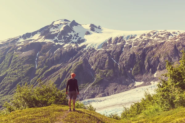 Vandrare i Exit glacier — Stockfoto