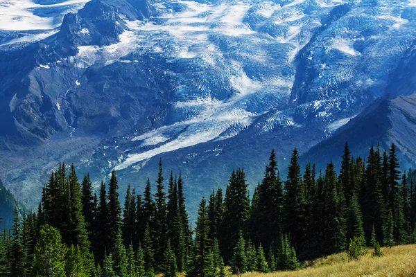 Mount Rainier national park — Stock Photo, Image