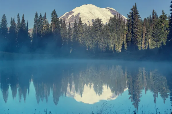 Parque Nacional Mount Rainier — Fotografia de Stock