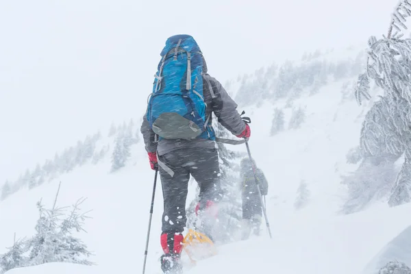 Senderistas en bosque de invierno — Foto de Stock