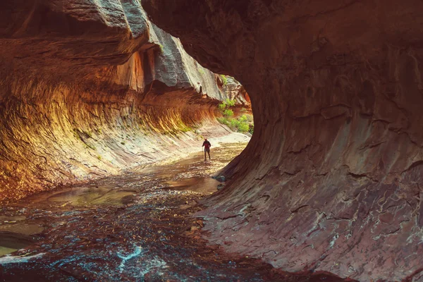 Malerische Schlucht in Zion — Stockfoto