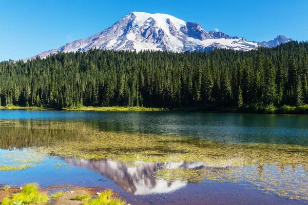 Mount Rainier national park — Stock Photo, Image