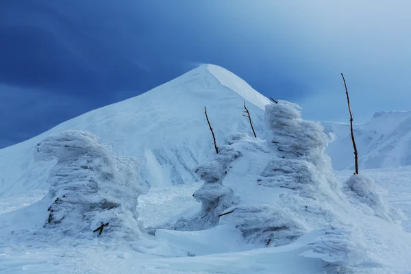 Malerische Winterberge — Stockfoto