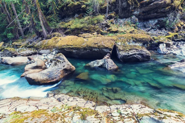 Fiume di montagna pulito — Foto Stock