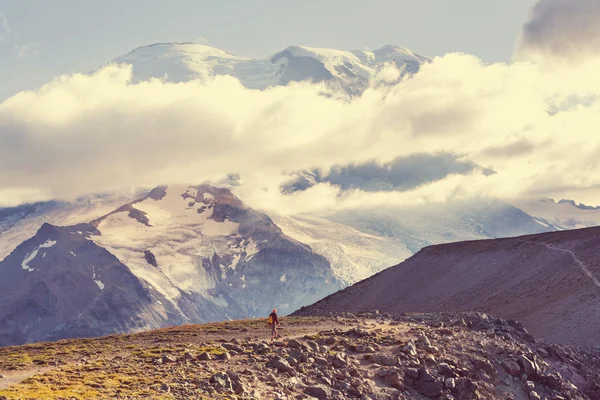 Parque Nacional Mount Rainier — Fotografia de Stock