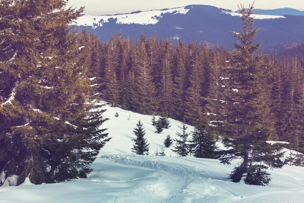 Montanhas de inverno pitorescas — Fotografia de Stock