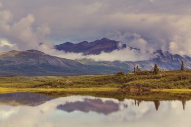 Manzara Denali karayolu üzerinde
