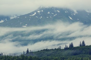 Alaska'da pitoresk dağlar