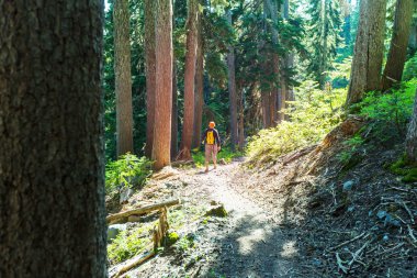 Ormanda yürüyüş yapan adam.