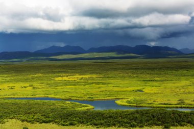 Manzara Denali karayolu üzerinde