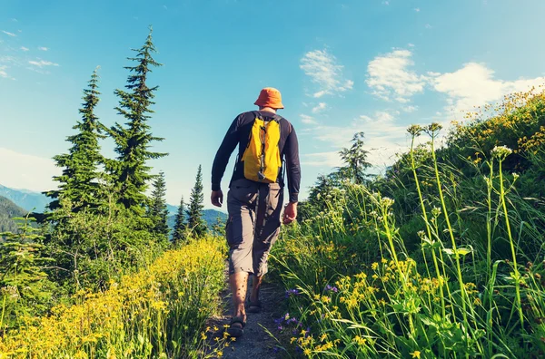 Escursionismo uomo in montagna — Foto Stock