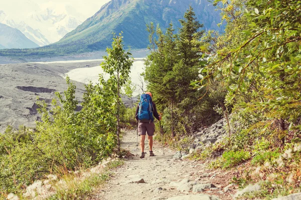 Wanderung in alaska, USA — Stockfoto