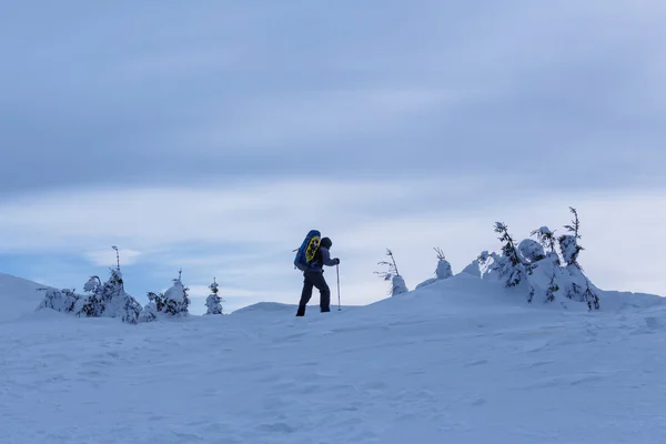 Caminata de invierno en las nevadas —  Fotos de Stock