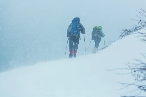 Wandelaars in winter forest — Stockfoto