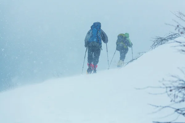 Hikers in winter forest — Stock Photo, Image