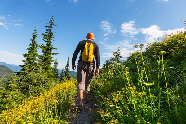 Wandelen man in de bergen — Stockfoto