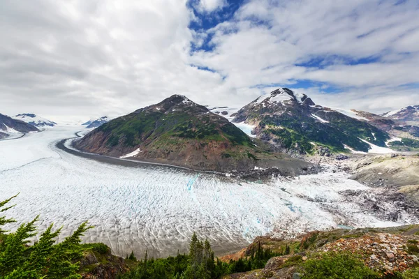 Lax-glaciären i Kanada — Stockfoto