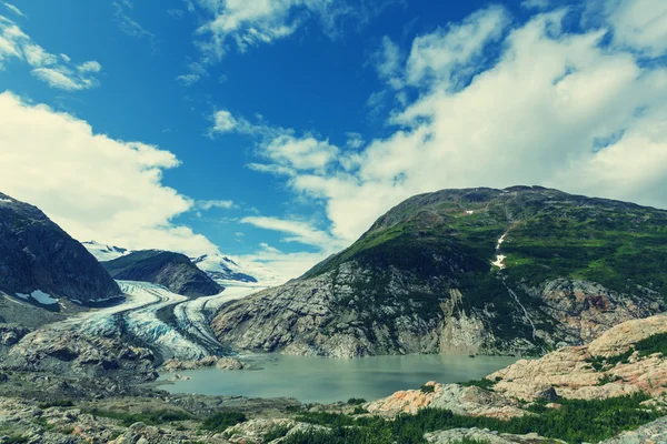 Lososa ledovec v Kanadě — Stock fotografie