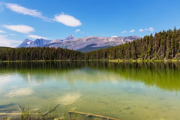 Vid en pittoresk sjö i Kanada — Stockfoto