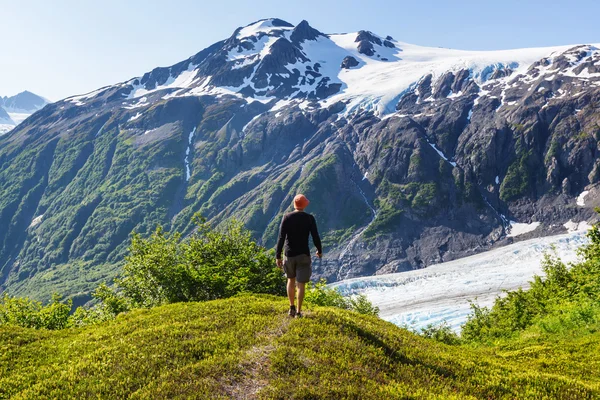 Hiker in Exit Glacier — Stock Photo, Image