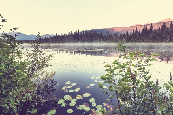 Живописное озеро Канады — стоковое фото