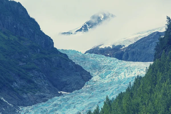 Glaciar urso pitoresco — Fotografia de Stock