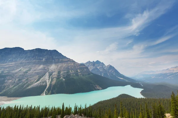 Peyto озеро в Канаді — стокове фото