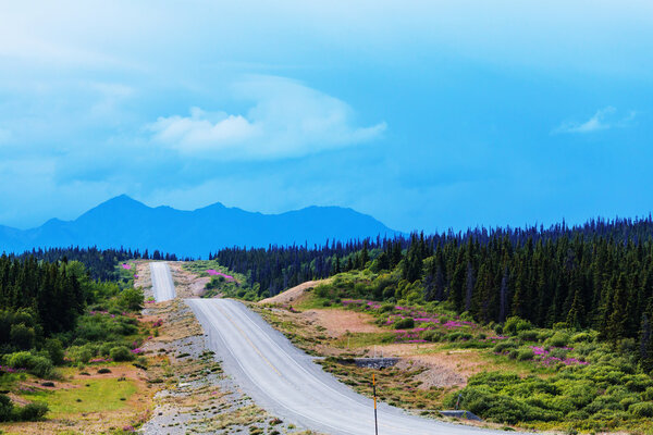 Scenic highway in Alaska